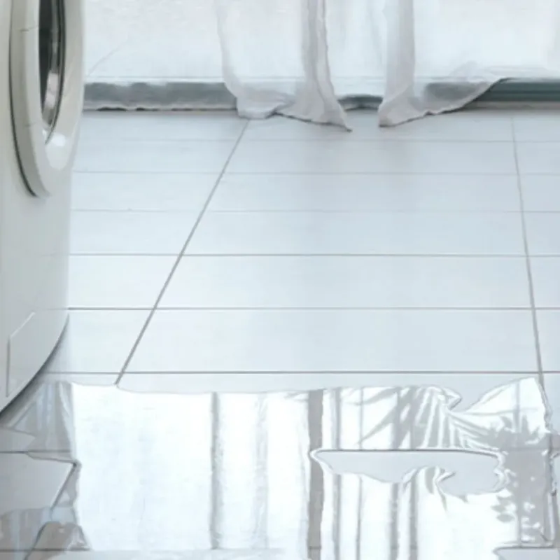 Appliance Leak Cleanup in Swanquarter, NC