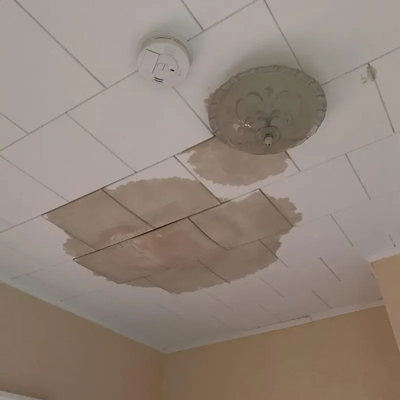 Ceiling Water Damage Repair in Swanquarter, NC