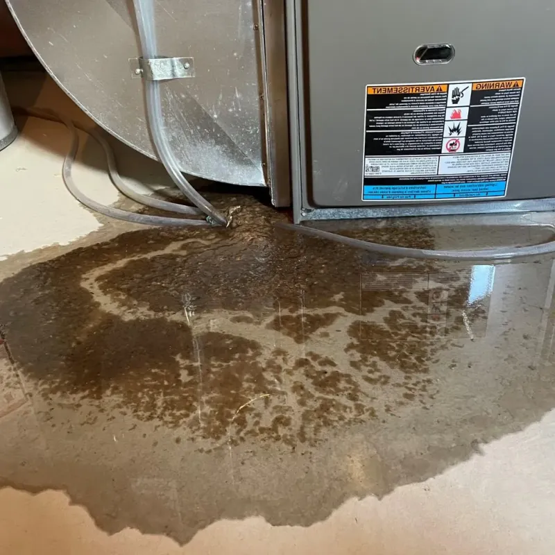 Pipe Burst and Leak Restoration in Swanquarter, NC