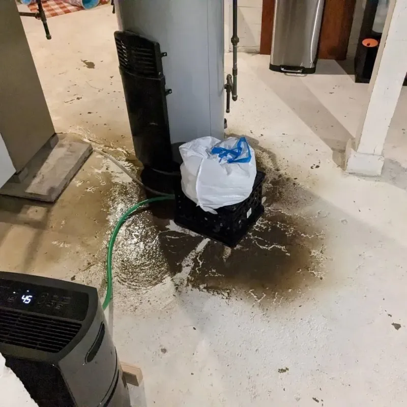 Sewage Backup Cleanup Service in Swanquarter, NC
